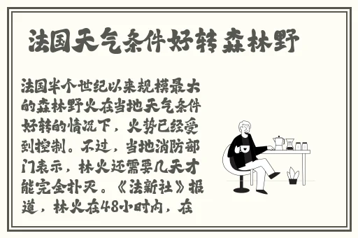 2019nv天堂香蕉在线观看