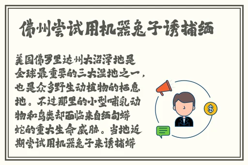 黄色美容院免费观看