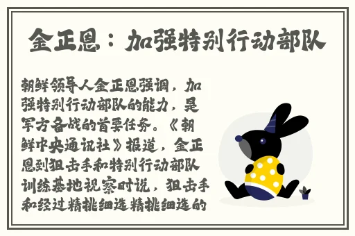 炮姐视频bgm是什么意思